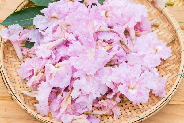 Pembe trompet çiçekler veya pembe pembe trompet tecoma çiçek ahşap sepeti