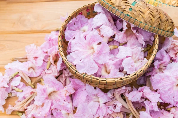 Pembe trompet çiçekler veya pembe pembe trompet tecoma çiçek ahşap sepeti