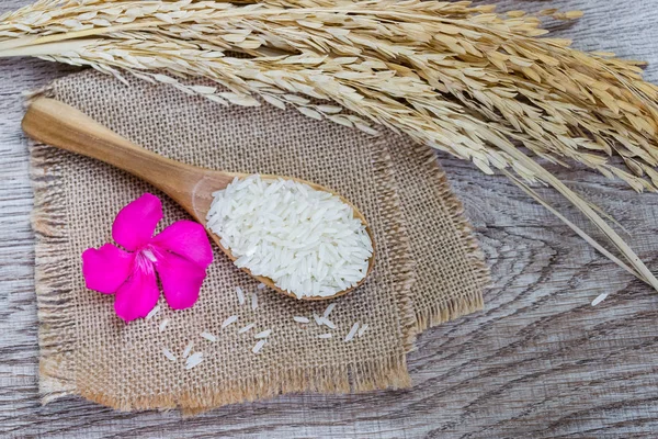 Thai jasmine rice in wooden spoon on wood background