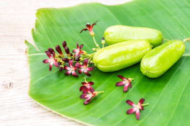 Averrhoa Bilimbi meyve