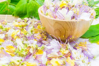 Crateva religiosa flower