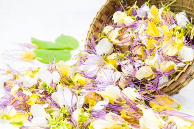 Crateva religiosa flower