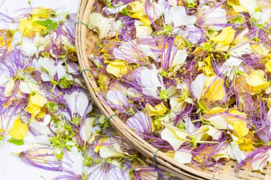 Crateva religiosa flower