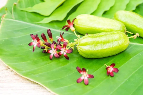 Averrhoa Bilimbi Fruta — Foto de Stock