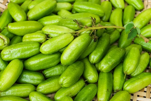 Averrhoa bilimbi fruit — Stock Photo, Image