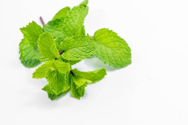 beyaz üzerine taze nane