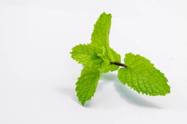 beyaz üzerine taze nane