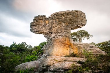 Taş şekiller garip