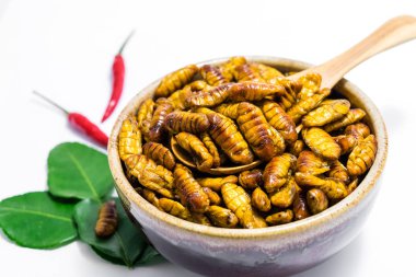 Kızarmış ipekböceği pupası