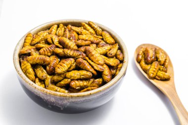Kızarmış ipekböceği pupası