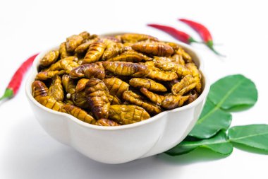 Kızarmış ipekböceği pupası
