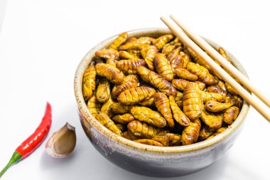 Kızarmış ipekböceği pupası