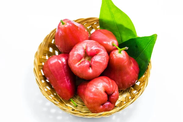 Owoce róży apple — Zdjęcie stockowe