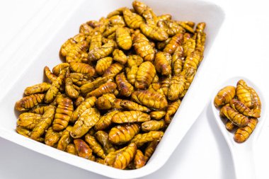 Kızarmış ipekböceği pupası