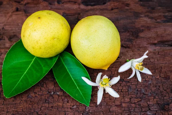 Лимон с листьями и цветами — стоковое фото