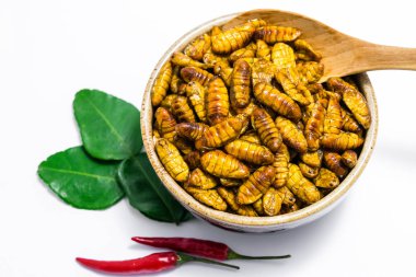 Kızarmış ipekböceği pupası