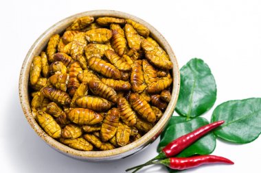 Kızarmış ipekböceği pupası