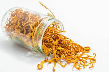 Cordyceps militaris mantar