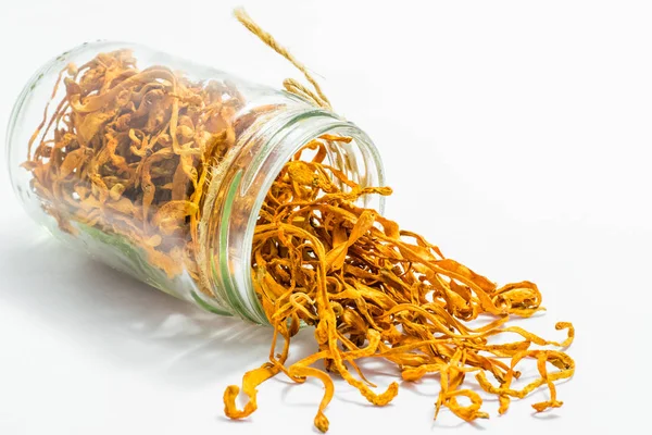 Cordyceps militaris mantar
