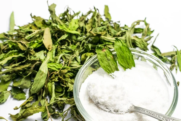 Hojas secas de stevia — Foto de Stock