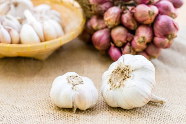 Garlic and shallot — Stock Photo, Image