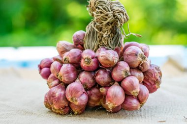 soğancık ve sarımsak