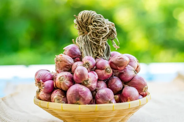 Shallot and garlic — Stock Photo, Image
