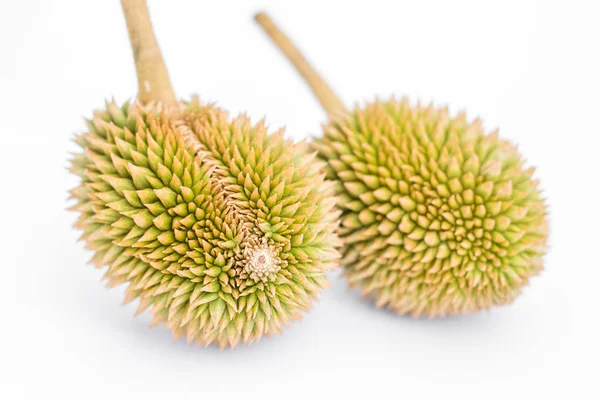 Fiatal organikus durian — Stock Fotó