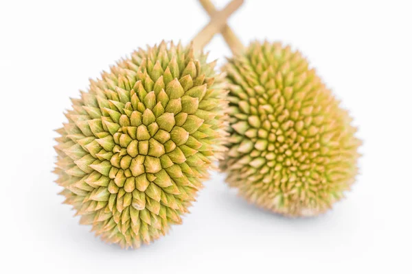 Fiatal organikus durian — Stock Fotó