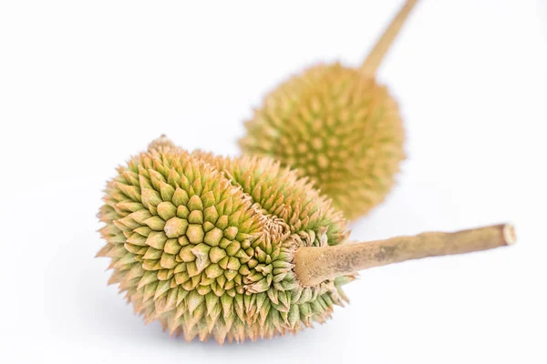 Fiatal organikus durian — Stock Fotó