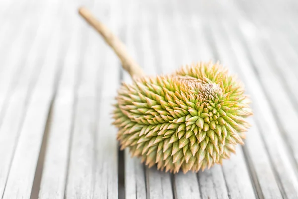Młody organiczny Durian — Zdjęcie stockowe