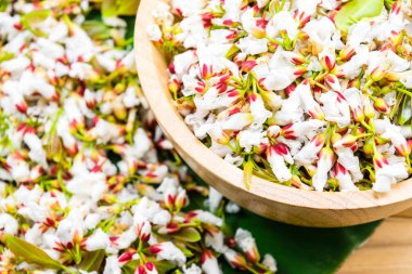 yemek pişirmek için taze guttiferae çiçekler