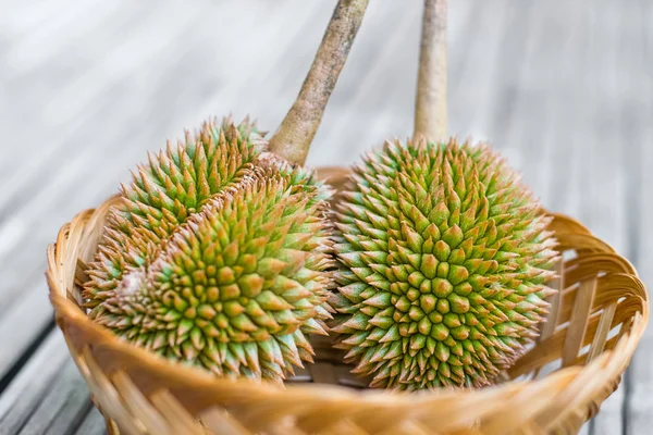 Mladý organický Durian — Stock fotografie