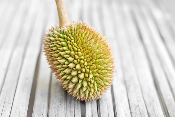 Młody organiczny Durian — Zdjęcie stockowe