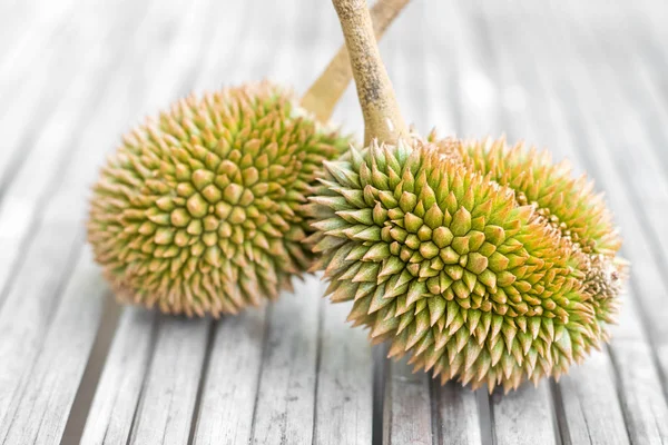 Jovens orgânicos Durian — Fotografia de Stock