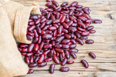 Kırmızı fasulye tohumları