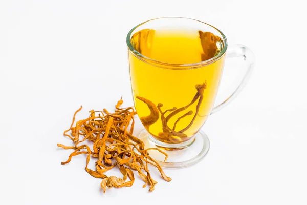 Cordyceps militaris mantar
