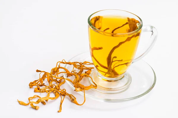 Cordyceps militaris mantar