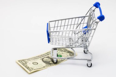 alışveriş sepeti içinde dolar