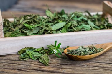 Kuru stevia yaprağı