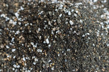 Kaktüs yetiştirmek için karışık toprak