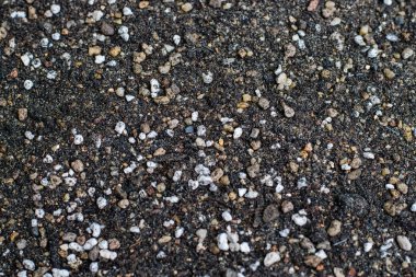 Kaktüs yetiştirmek için karışık toprak