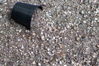 Kaktüs yetiştirmek için karışık toprak