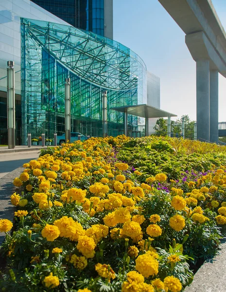 Landscaping Flowers Modern Detroit Buildings — Stock Photo, Image