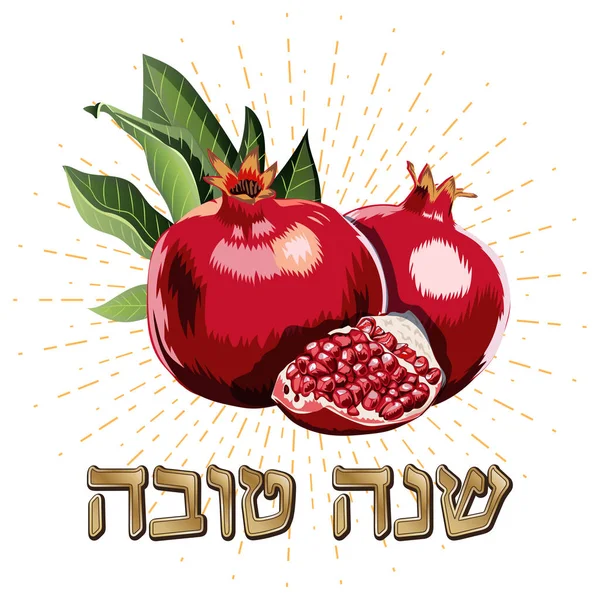 Şık yazı Shana Tova ile bir tebrik kartı. Vektör çizim Eps10