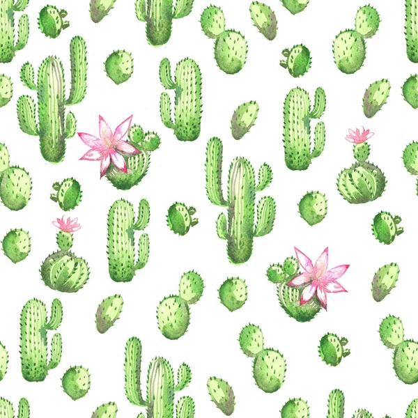 A seamless watercolor pattern with green cactus on a pink background — Stock Photo, Image