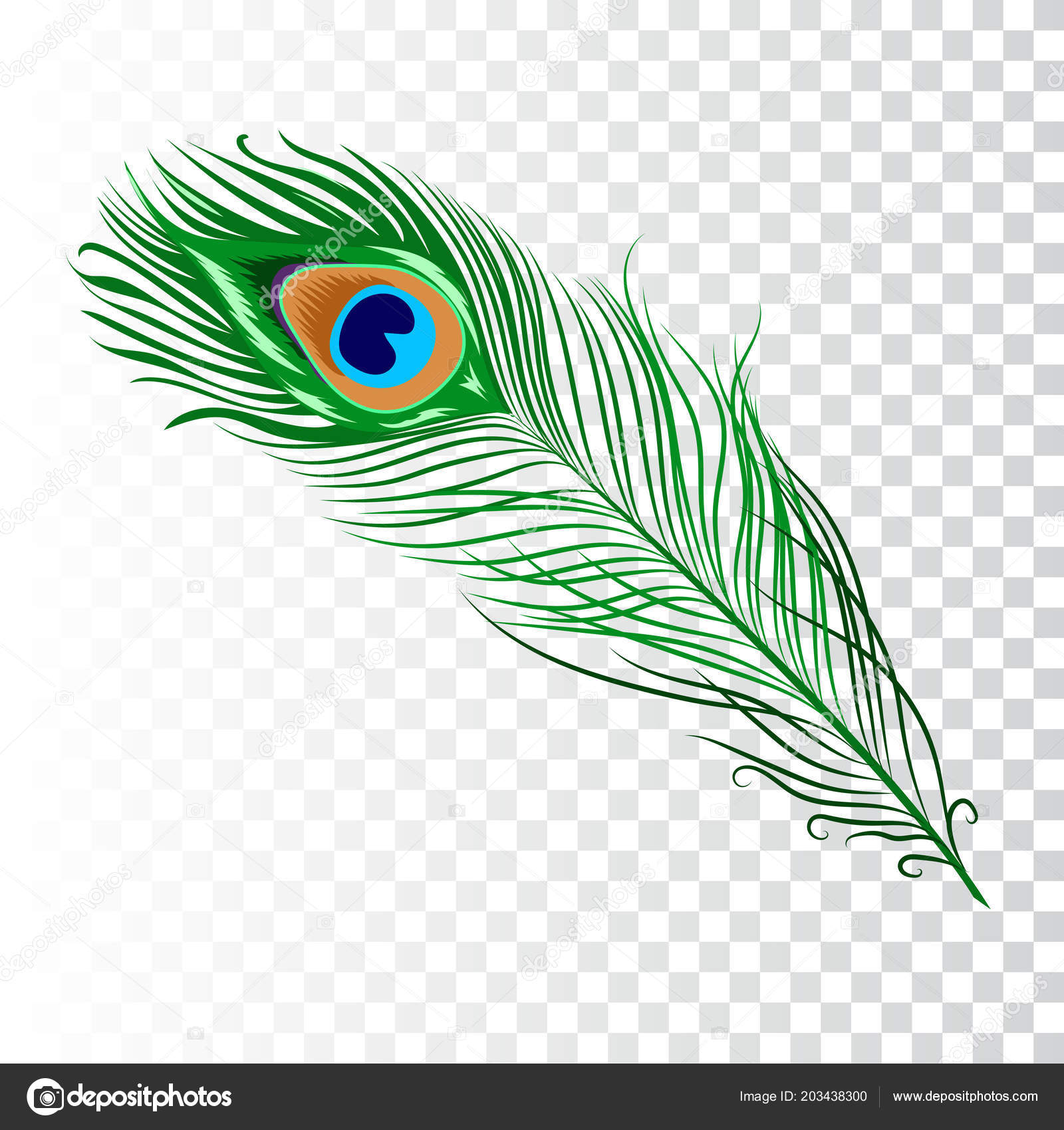 Peacock feather collection Stock Vector by ©zazulla 203438300, Peacock  Feather 