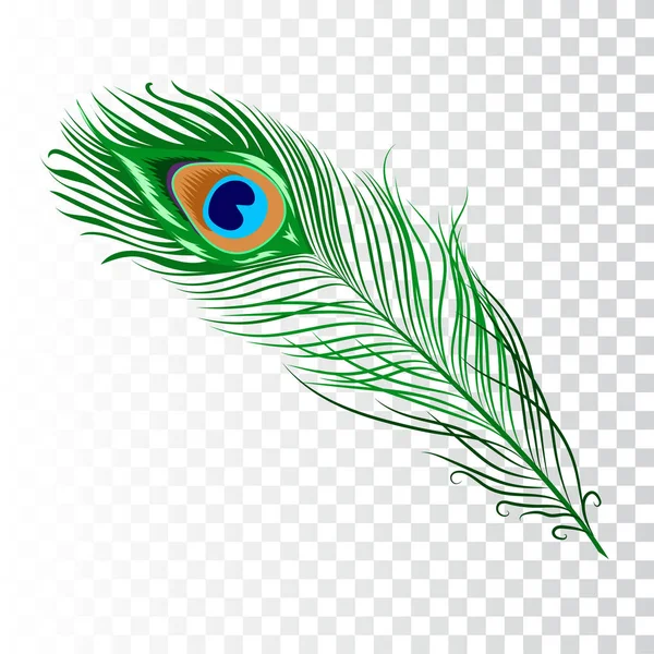 Peacock feather collectie — Stockvector