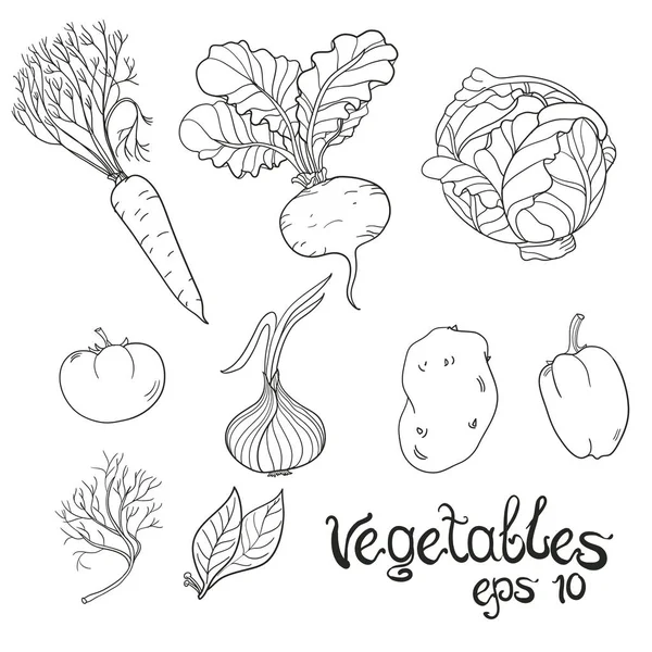 Set de Verduras Dibujadas a Mano. Colección de bocetos de comida. Ilustración vectorial — Vector de stock