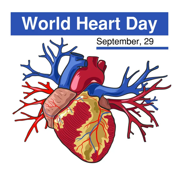 Día Mundial del Corazón. 29 de septiembre. Ilustración vectorial sobre fondo blanco. Excelente tarjeta de regalo de vacaciones . — Vector de stock